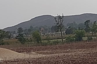 WhatsApp Image 2024-04-28 at 14.45.35_72d280ba